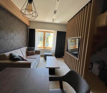 Kopaonik Apartment | Woodside apartments Kopaonik with garage