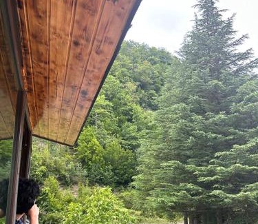 Ambrolauri House | WoodStar/ტყის ვარსკვლავი