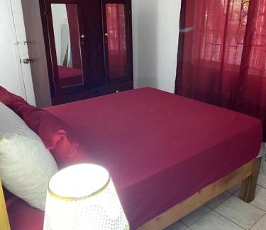 Port Antonio House | Woody Town Centre Apartment
