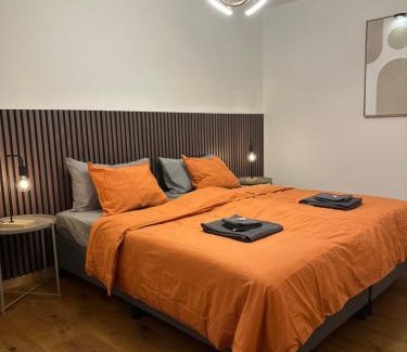 Ackersand Apartment | Work and Chill Apartment near Zermatt and Lonza