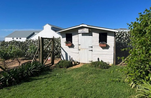 Stellenbosch Apartment | World of Horses Flats - Lucky