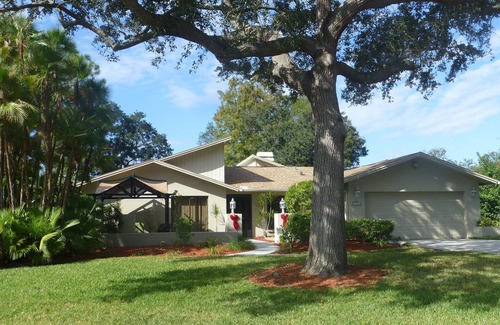 Carrollwood House | WOW - like staying in a park: beautiful lakefront, private heated pool in Tampa!