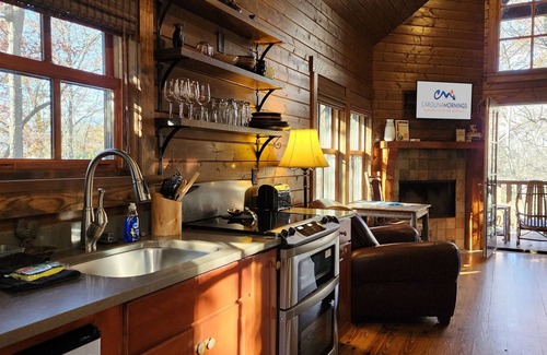 Cheshire Cabin | Wren’s Den | Cozy Cabin w/Fireplace + Jetted Tub + Biltmore Pass