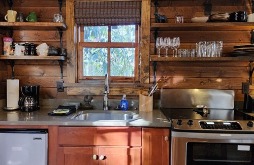 Cheshire Cabin | Wren’s Den | Cozy Cabin w/Fireplace + Jetted Tub + Biltmore Pass