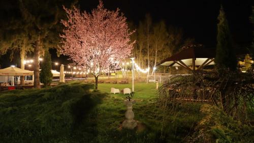 Kudowa Zdroj Resort | Wrzos & Belvedere