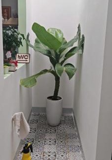 Pleiku Apartment | Xù Homestay