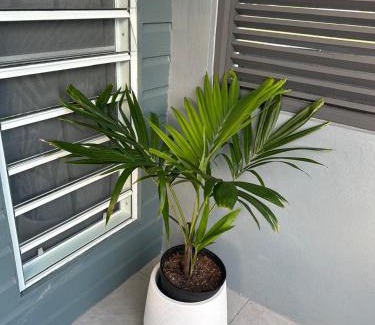 Dickenson Bay Apartment | Xoop Homes - Zinnia #2