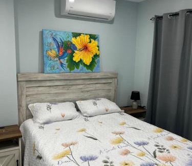 Dickenson Bay Apartment | Xoop Homes - Zinnia #2