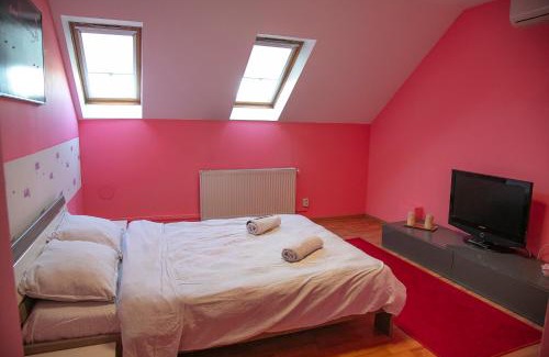 Tirgu Mures House | XXL-House