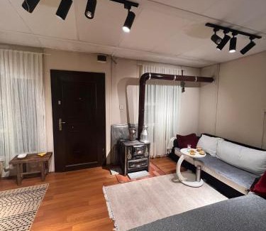 Catalca House | Yıldız Şifa Çitlik Evi