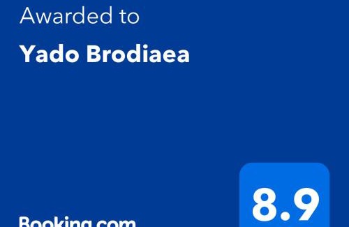 Myoko Bed & Breakfast | Yado Brodiaea