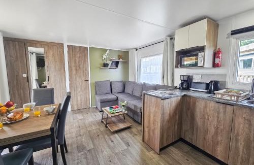 Litteau Other | Yatra Van