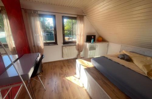 Edinghausen House | Yellow House