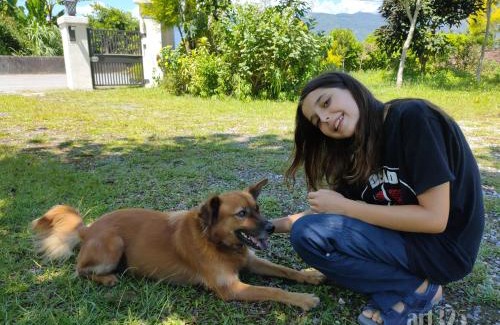 Fongtian Immigration Village House | Yi Tian Homestay