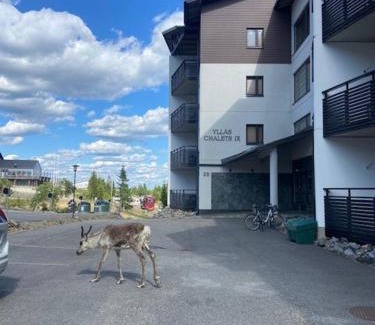 Yllas House | Ylläs Chalets IX A9104