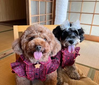 Yoshino Apartment | Yoshino Nagaya - Vacation STAY 16227
