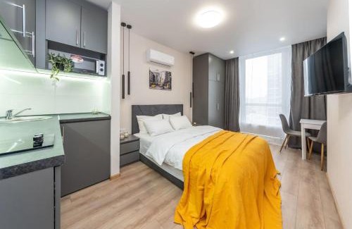 Darnyckyj Apartment | Your Flat Lebedinny