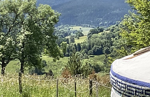 Saint-Antheme RV Rental | Yourte Supérieur 5 places