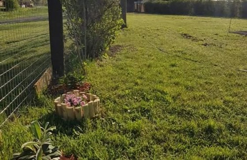 Tiszanana Apartment | ZöldPortál Vendégház Tiszanána -Dinnyéshát