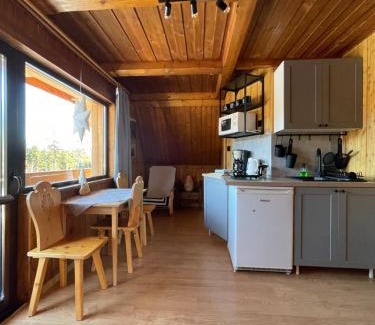 Zakopane Apartment | Z Giewontem w Tle Apart&Room