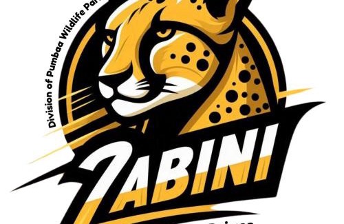 Nelspruit Bed & Breakfast | Zabini Lodge and Game Drives