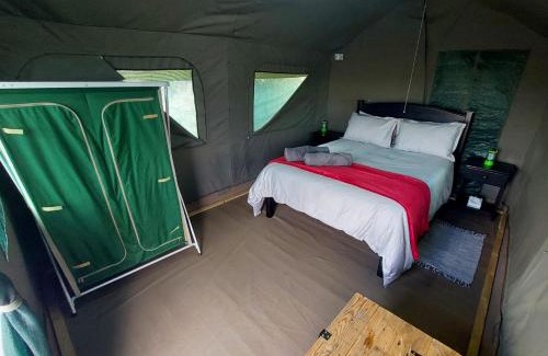 Plathuis Other | Zandfontein Bush Camp and Game Farm
