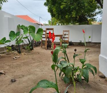 Nungwi Bed & Breakfast | ZanziBalkan House Nungwi