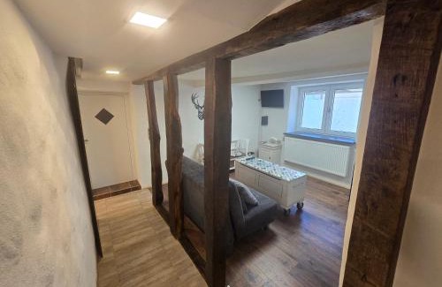 Hirschhorn Apartment | Zauberhafte Wohnung in der Nähe von Heidelberg, top Lage