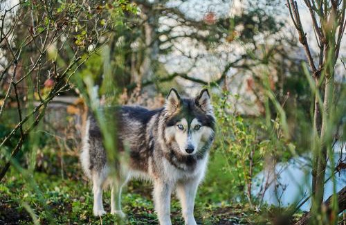 Weingarten House | ZeitweiseHaus