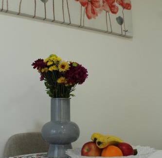 Zemun Apartment | Zemun Residence