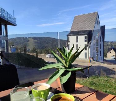 Divcibare Apartment | Zimska idila Divcibare