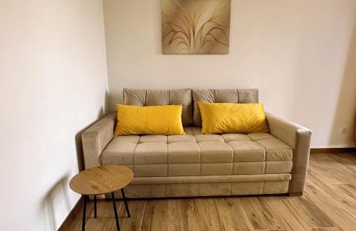 Divcibare Apartment | Zlatni apartman Borovi