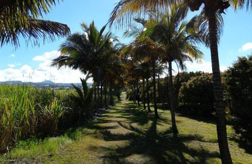 Ravine des Cabris Bed & Breakfast | Zoiseaux Pays