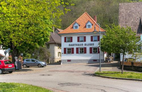 Kleinkems House | Zur Blume Hotel & Restaurant Efringen-Kirchen bei Basel
