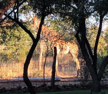 Bela-Bela House | Zwartkloof 111