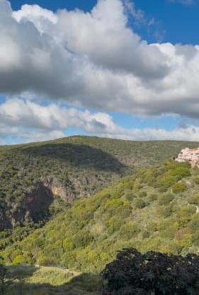 אירוח באכזיב