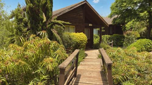 נופי הבשן - חדרי אירוח מושלמים לזוגות ומשפחות בלהבות הבשן