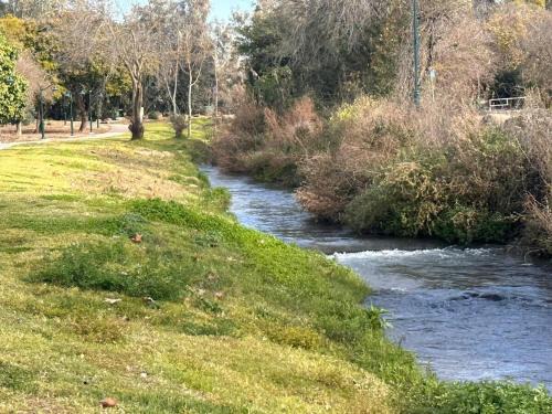 על הנחל בקיבוץ