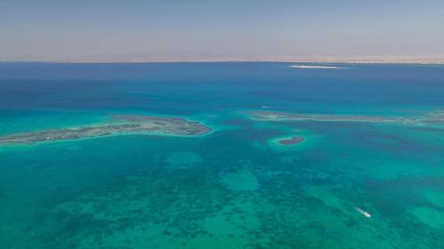 رحلات بحرية دولفين وغواصة وجزر