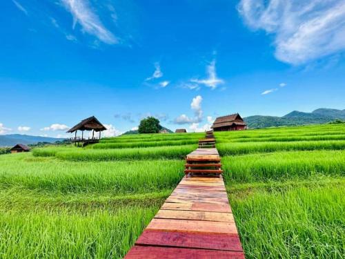 ເຂົ້າໜຽວຟາມສະເຕ-Kao Niaw Farmstay