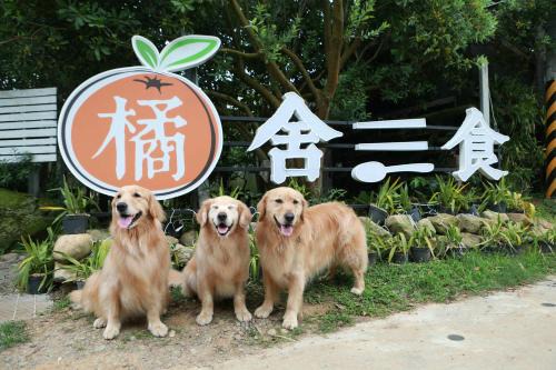 橘舍三食OrangeFarmerlife