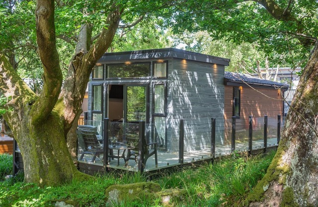 1 bedroom accommodation in Snowdonia