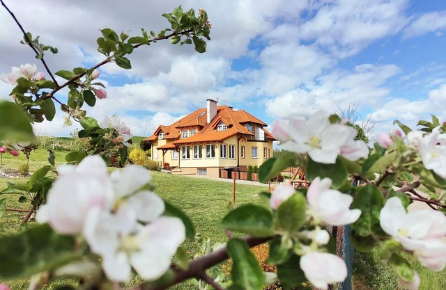 1 bedroom lovely apartment in Golubie