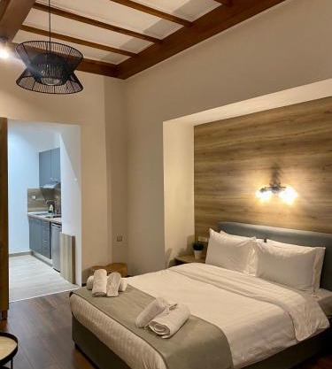 11 Luxury Apartments Metsovo.