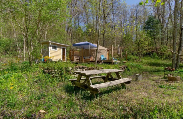 16’ Yurt in the Forest, Queen bed, kitchenette, hiking & 15 min to AVL.