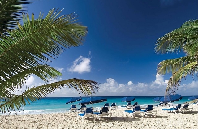 2 Amazing Rooms! Coastal Resort in the Stunning Caribbean w/ Balcony, Pool