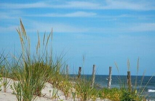 2 BR House Beach Haven Centrally located