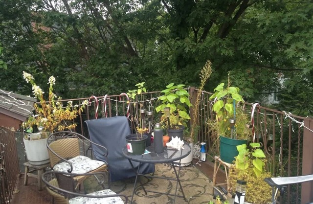 2 rooms close to Medical