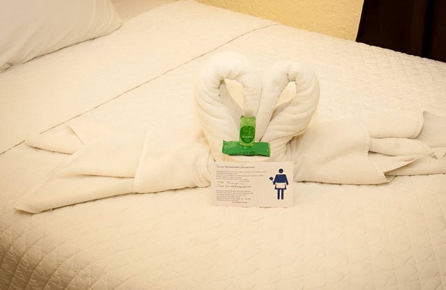 2 Units | Family Stay in Cancún | Pool & Gardens Near Puerto Juárez Beach