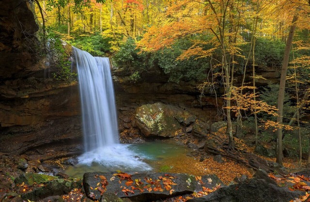 2108 South Ridge Terrace